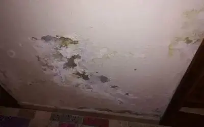 Su Kaçağı Tespiti Fatih Servisi?