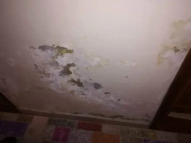 Su Kaçağı Tespiti Fatih Servisi?