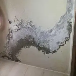 Avcılar Su Kaçağı Bulma Fiyatları?