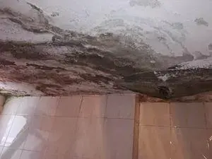 Su Kaçak Bulma Çözüm Merkezi