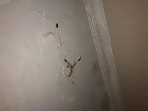 7/24 Su Kaçağı Tespiti.Kırmadan Dinleme Cihazı ile 100% Tespit Yapıyoruz.