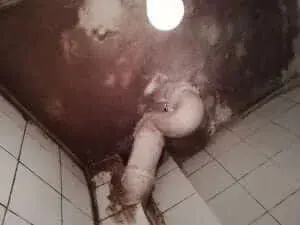Üst Kat Tuvaleti Kullanınca Su Taşıyor